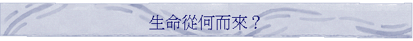 生命從何而來？